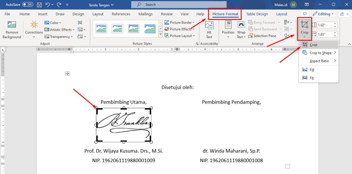 Menu Picture Format Crop Gambar Tanda Tangan Rapi di Word