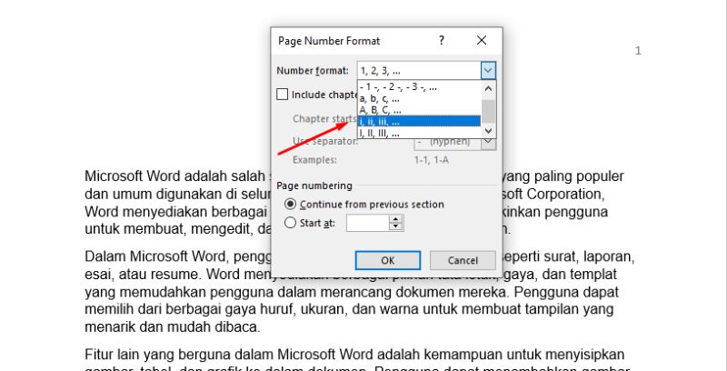 Page Number Format Menu Word