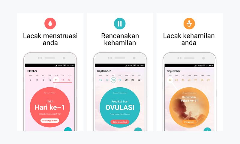 Aplikasi Kalender Menstruasi Flo Haid Masa Subur Wanita Hamil