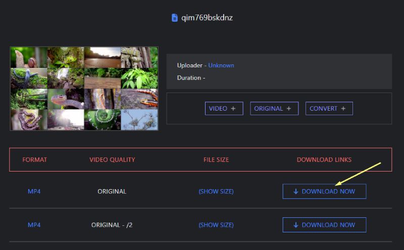 Download video Doodstream downloader online gratis